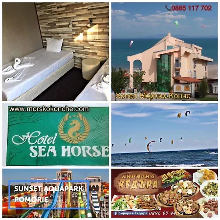 Sea Horse Hotel 3*