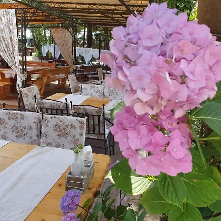 Otel Sea Horse Burgaz