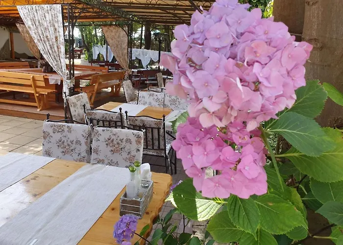 Otel Sea Horse Burgaz