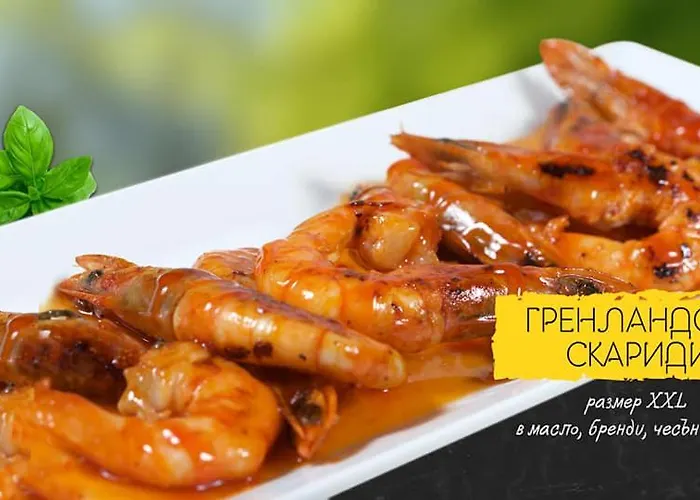 Otel Sea Horse Burgaz